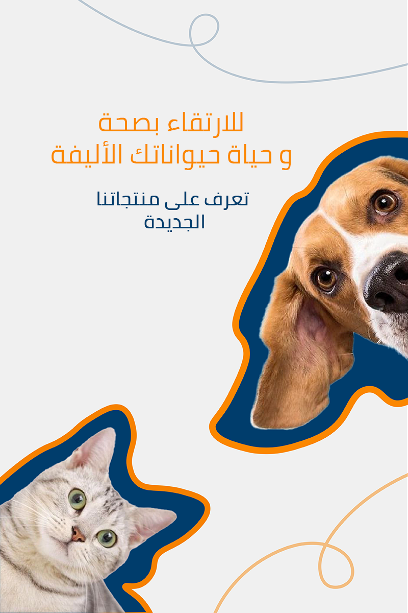زوومارت