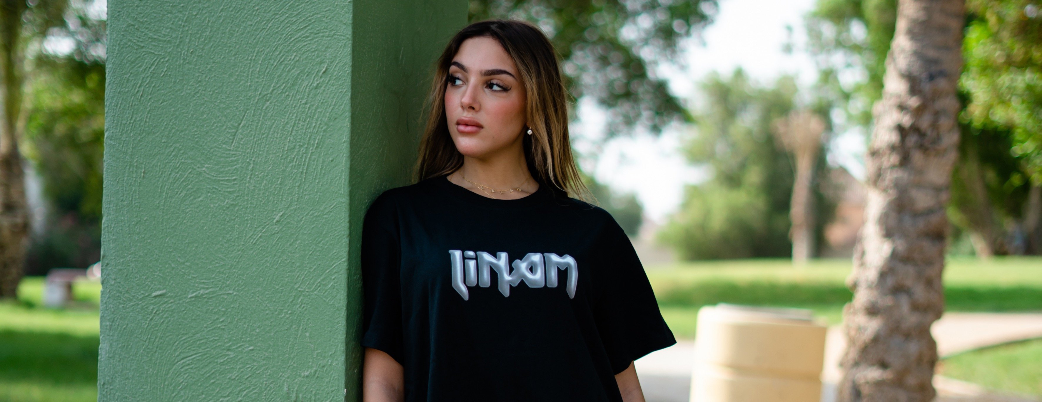 لنام image-slider-1