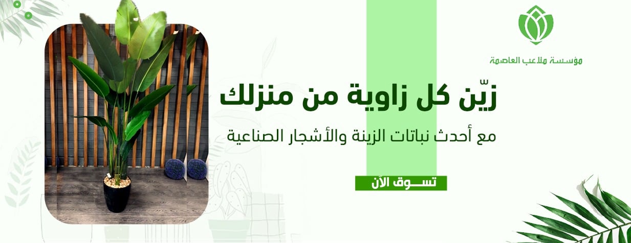malaeibaleasima image-slider-0