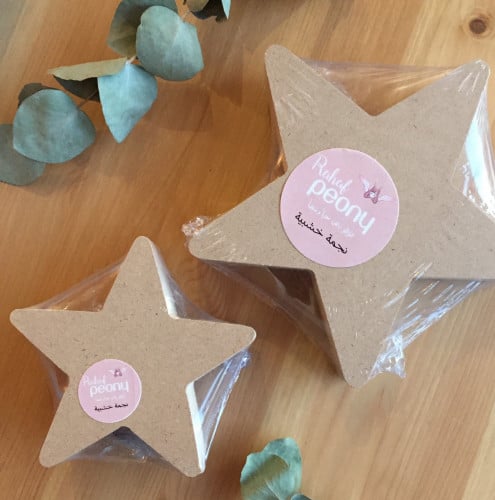 نجم خشبي صغير