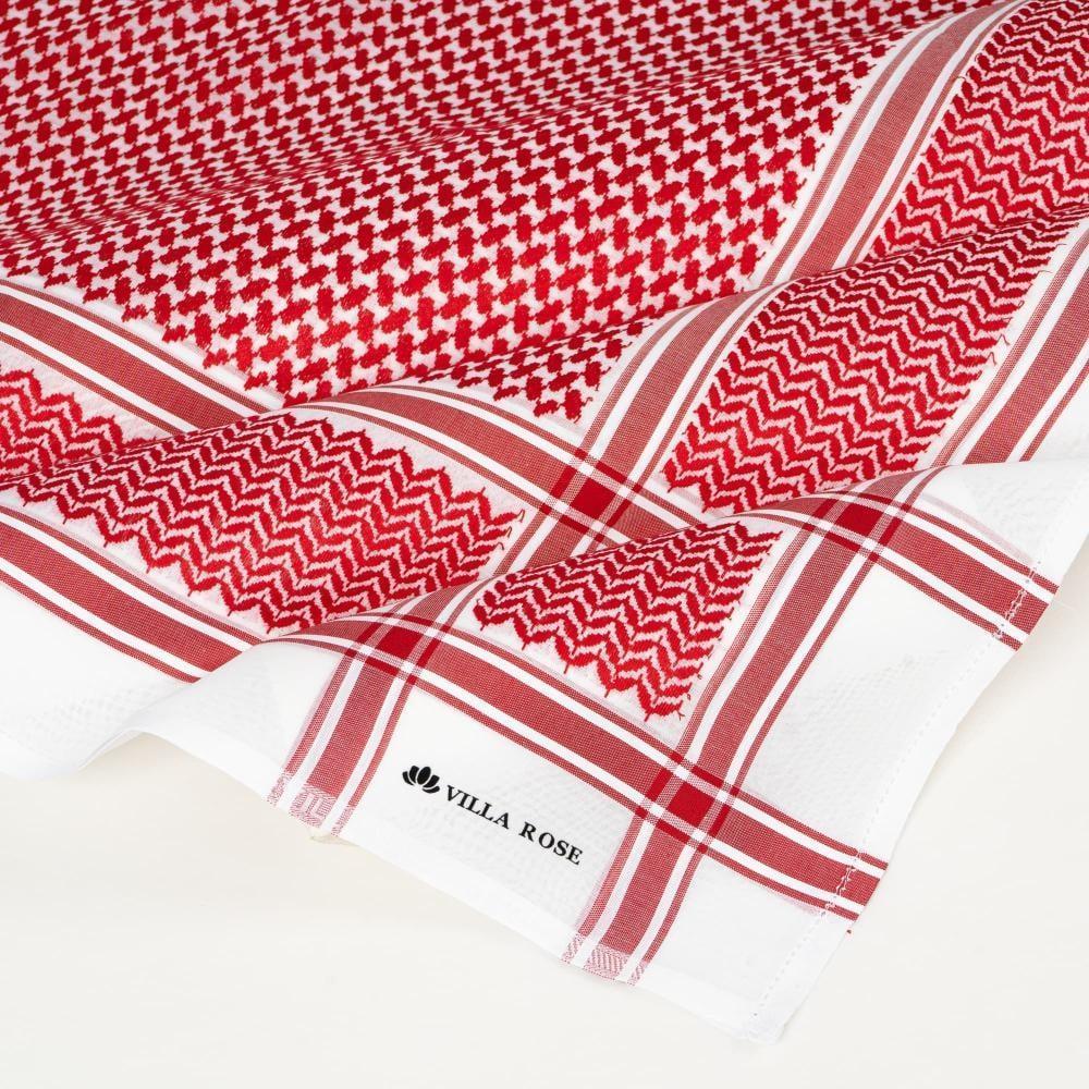 عرض اليوم الوطني    (  95   )