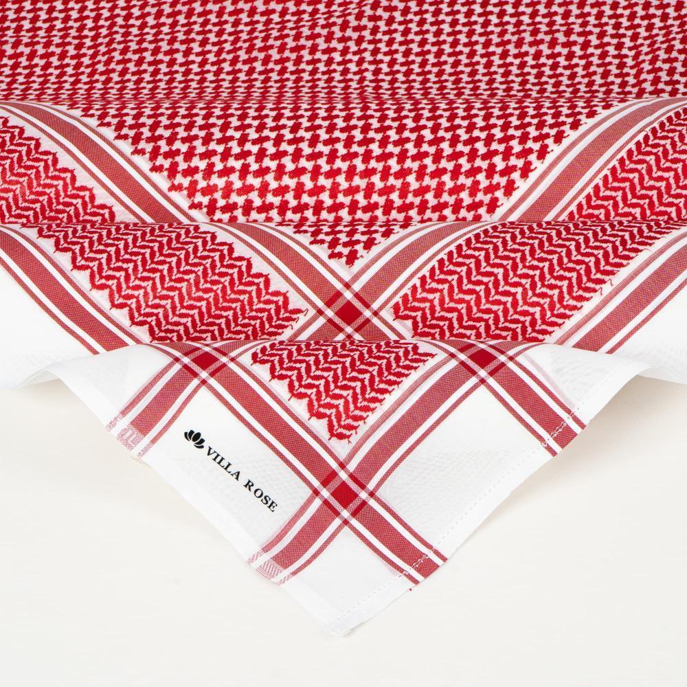 عرض اليوم الوطني    (  95   )