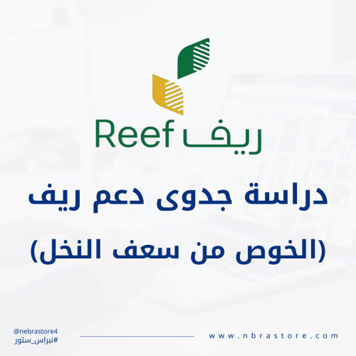 دراسة جدوى ريف pdf - الخوص من سعف النخل