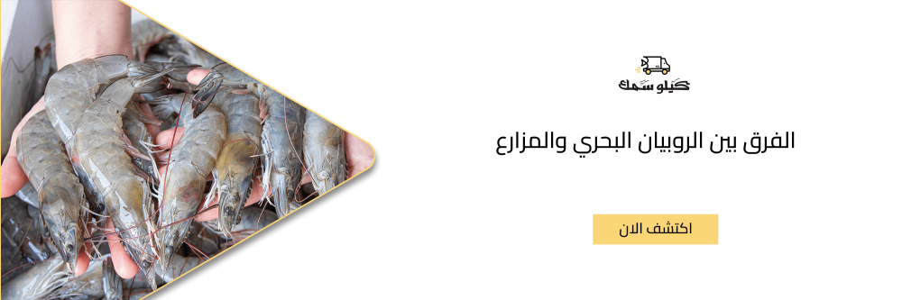 الفرق بين الروبيان البحري والمزارع