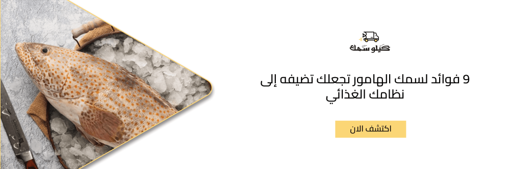 9 فوائد لسمك الهامور تجعلك تضيفه إلى نظامك الغذائي