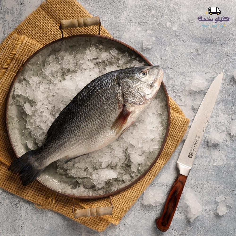 سمك سبيطي -   Subaiti Fish