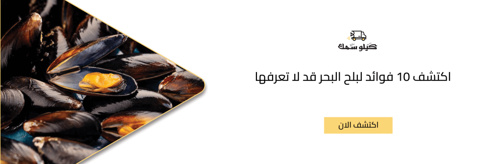 اكتشف 10 فوائد لبلح البحر قد لا تعرفها