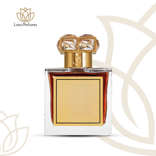 琥珀色罗亚 - 琥珀色罗亚