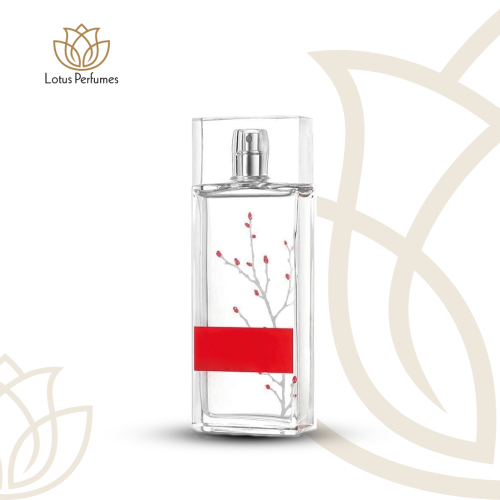 Armand Basi - 阿尔芒巴斯