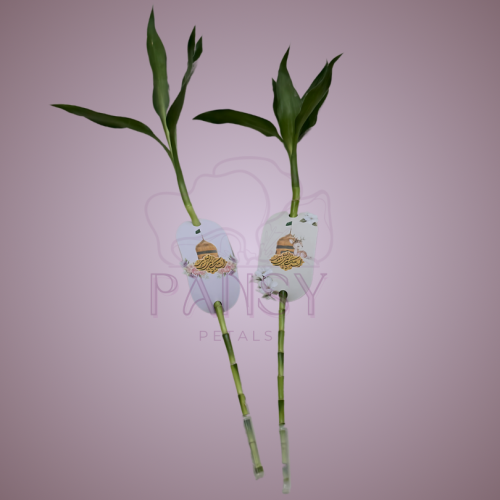 10 ساق بامبو