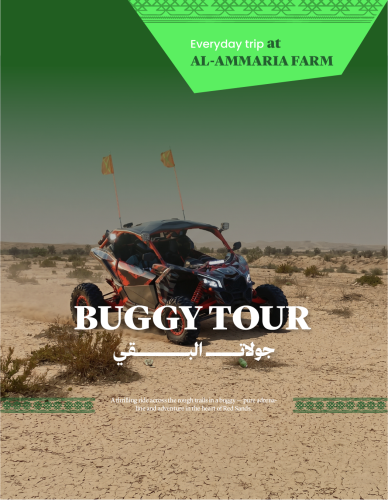 Buggy Tours