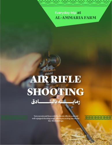 Air Rifle Shooting