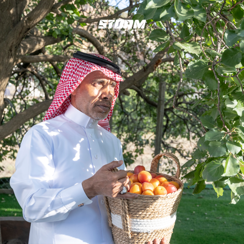 الطائف
