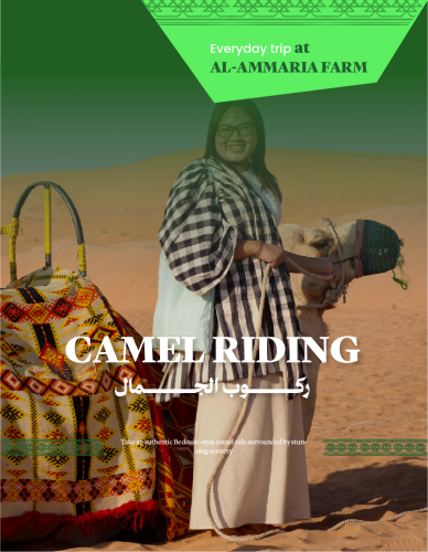 Camel Riding