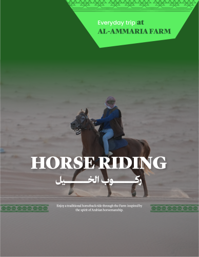 Horse Riding