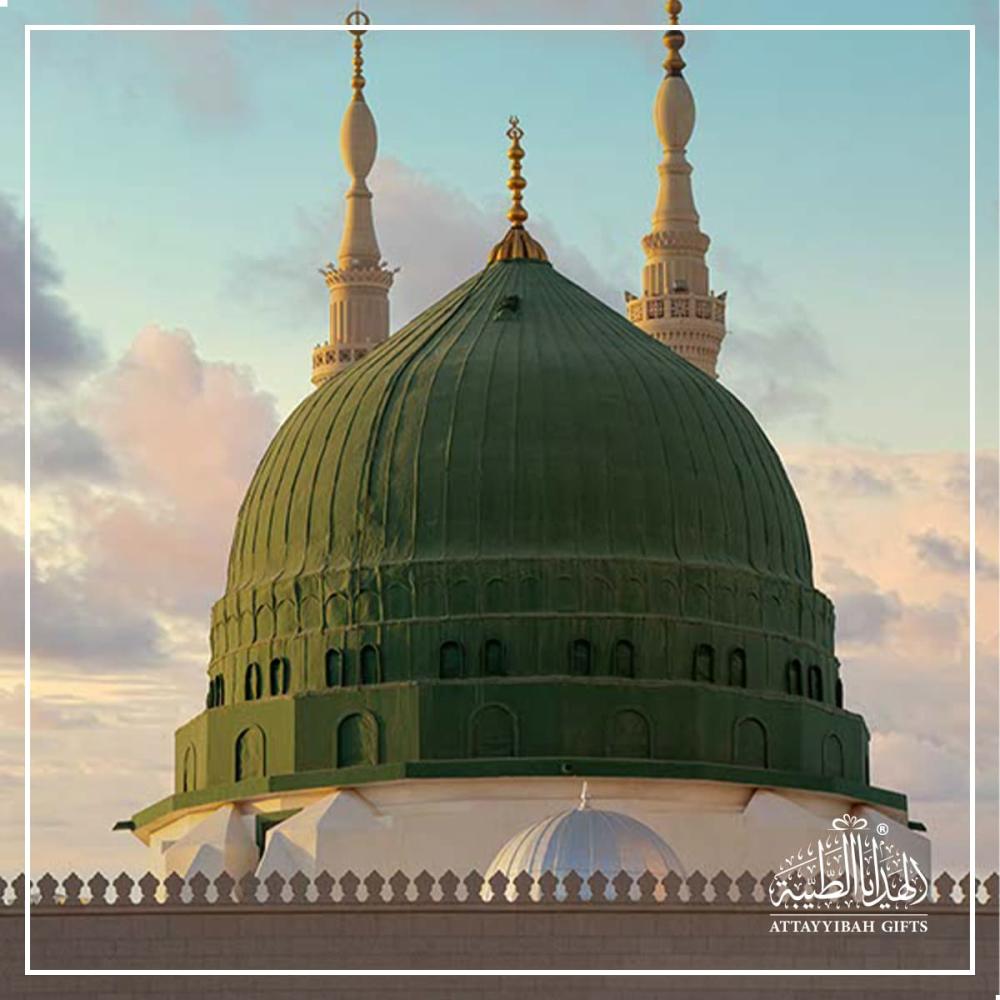 Green Dome Panel