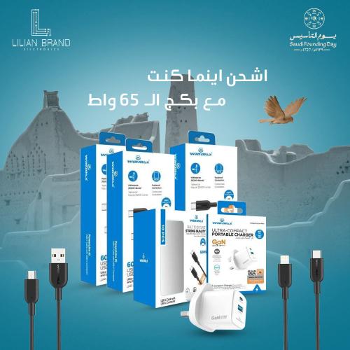 بكج فيش بقوة ٦٥ واط مع 8 كيابل بطول متر من winmax