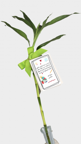 نبته البامبو مع تيوب مائي للحفاظ عليها