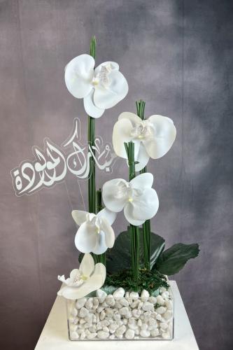 تنسيق اوركيد 16 سم