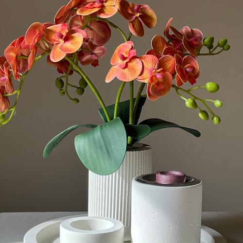 مجموعة مزينه بزهور الاوركيد البرتقالية