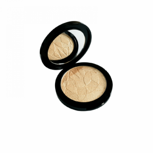 Make Over Gold Highlighter(301)
