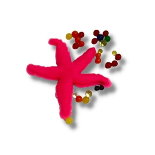 كيس حيوانات بحرية وحبوب تكبر في الماء 24 كيس