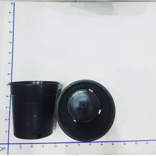 مركن حوض (أصيص) زرع