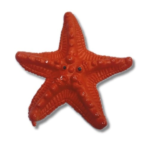 كرت حيوانات كبيرة جدا تكبر في الماء 6 حبات