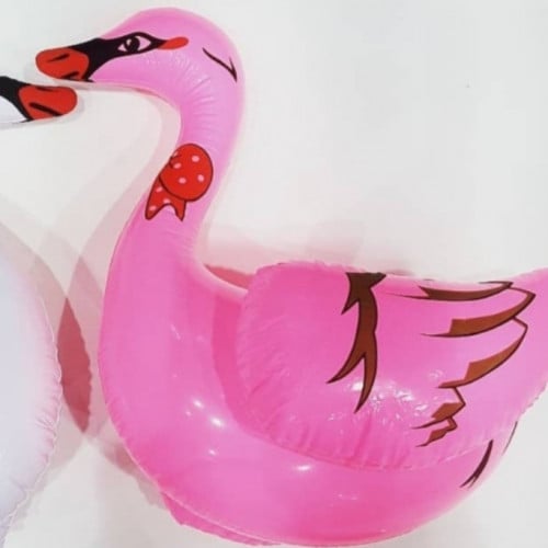 وزة نفخ لون وردي 6C/100