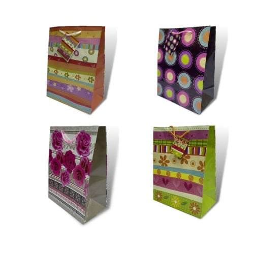 12 حبة كيس هدايا مقاسA13/100/   cm23×18