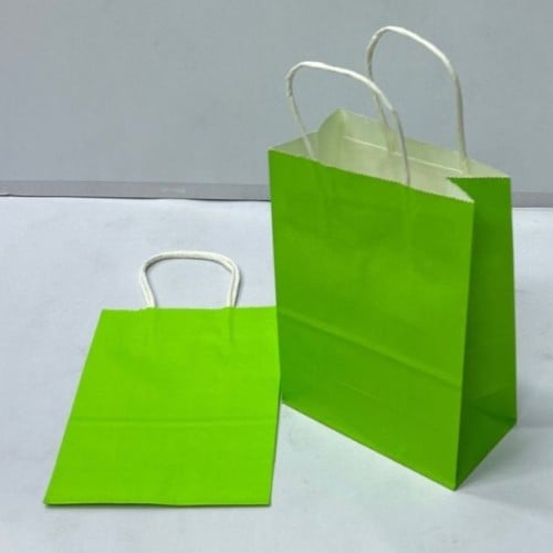 كيس هدايا ورق أخضر فاتح صغير (15×8×21)