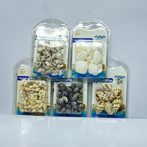 أصداف صدف منوع كرت (8B)