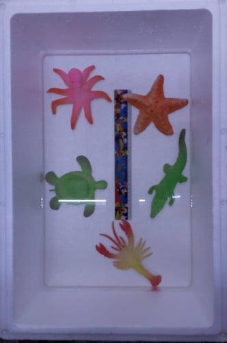 تكبر في الماء الحجم الكبير