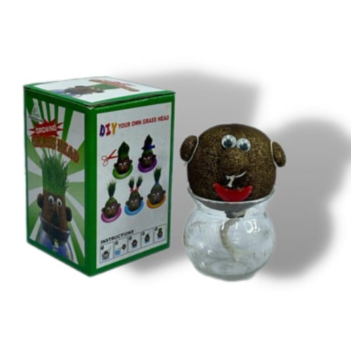 12 حبة دمية رأس العشب