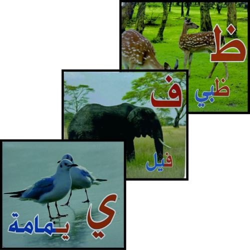 حروف الهجاء العربية ( ب )