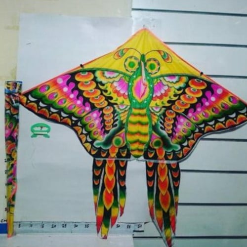 طائرة شراع فراشة 10F