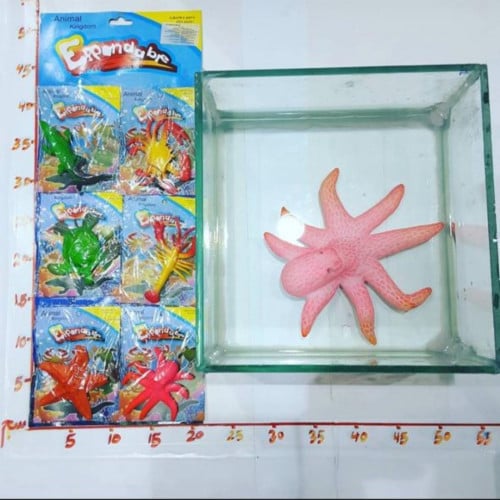 حيوانات تكبر في الماء