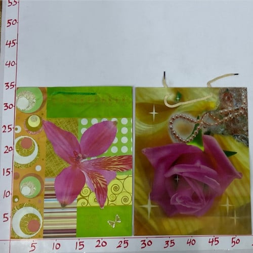 كيس هدايا مورد وسط 2 (13A/100)