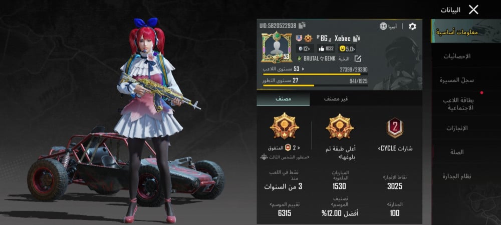 حساب ببجي رقم 203