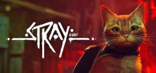 ستراي - Stray