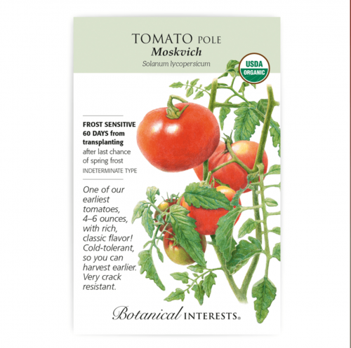 بذور طماطم موسكافيش عضوي - Moskvich Pole Tomato seeds