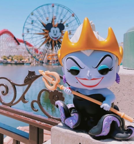 فنكو بوب ارسوله