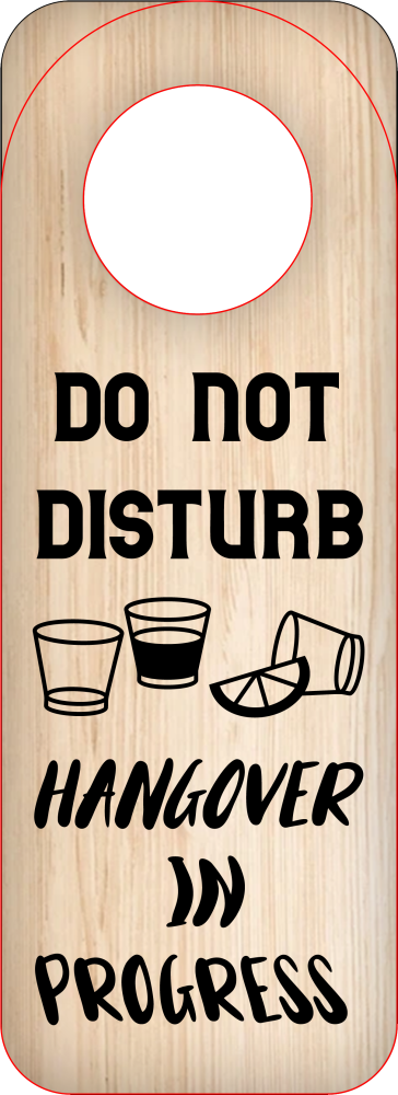 DO NOT DISTURB HANGOVER IN PROGRESS