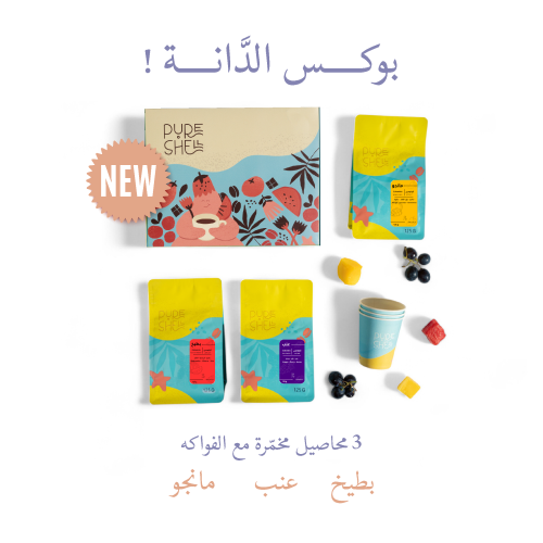 بوكس الدانة