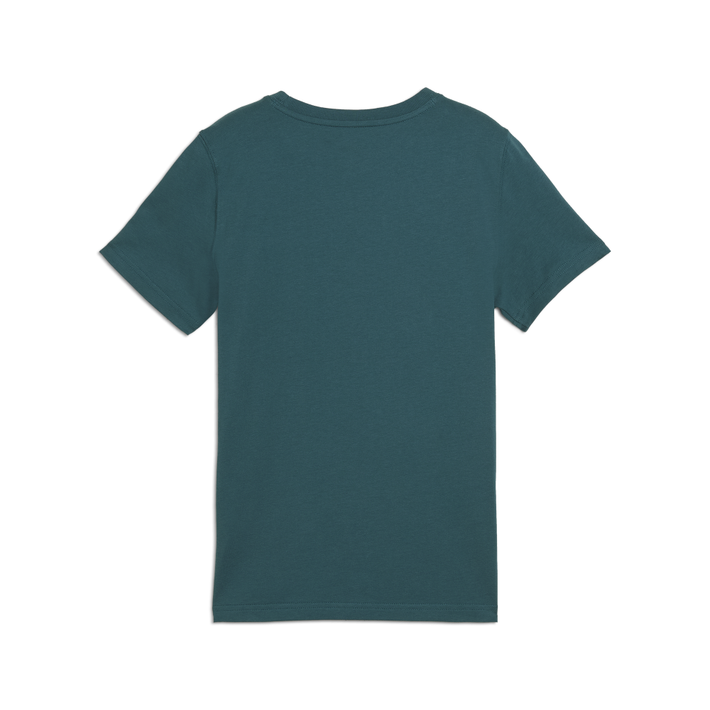 PUMA SQUAD Big Graphic Tee B Cold Green