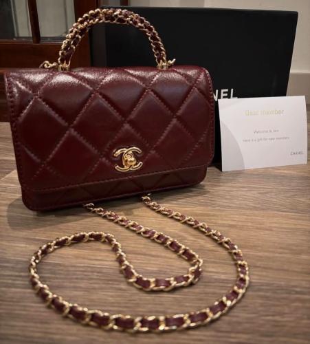 Chanel bag (13)