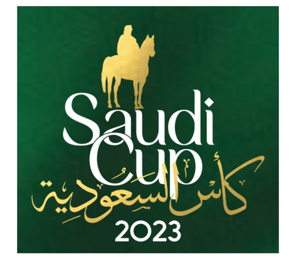 شريك نجاح