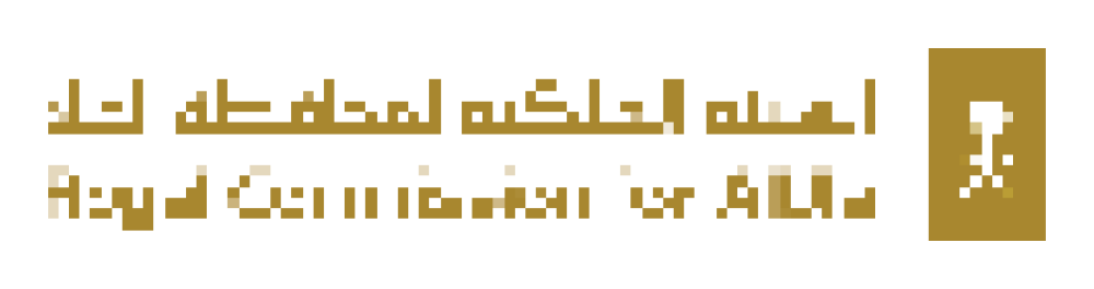 شريك نجاح
