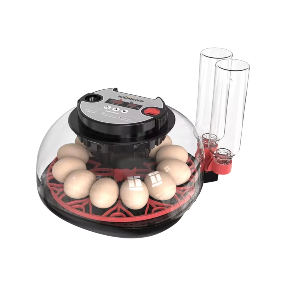 شرح وطريقة تركيب فقاسة 12 بيضة خطوة بخطوة WONEGG