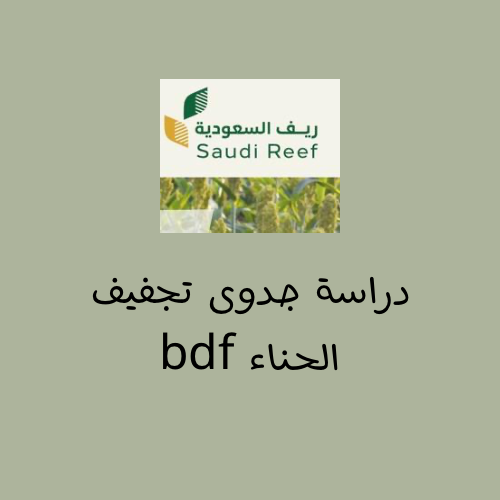ريف دراسة جدوى جاهزه